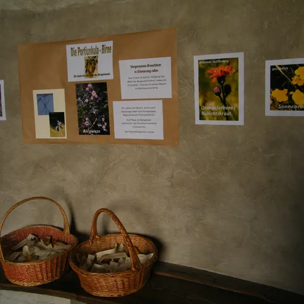 2012 Portiunkula-Birnen verteilen (1)